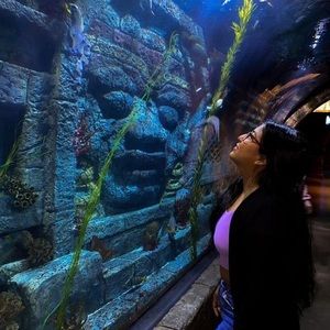 Meet your Posher, Daniela